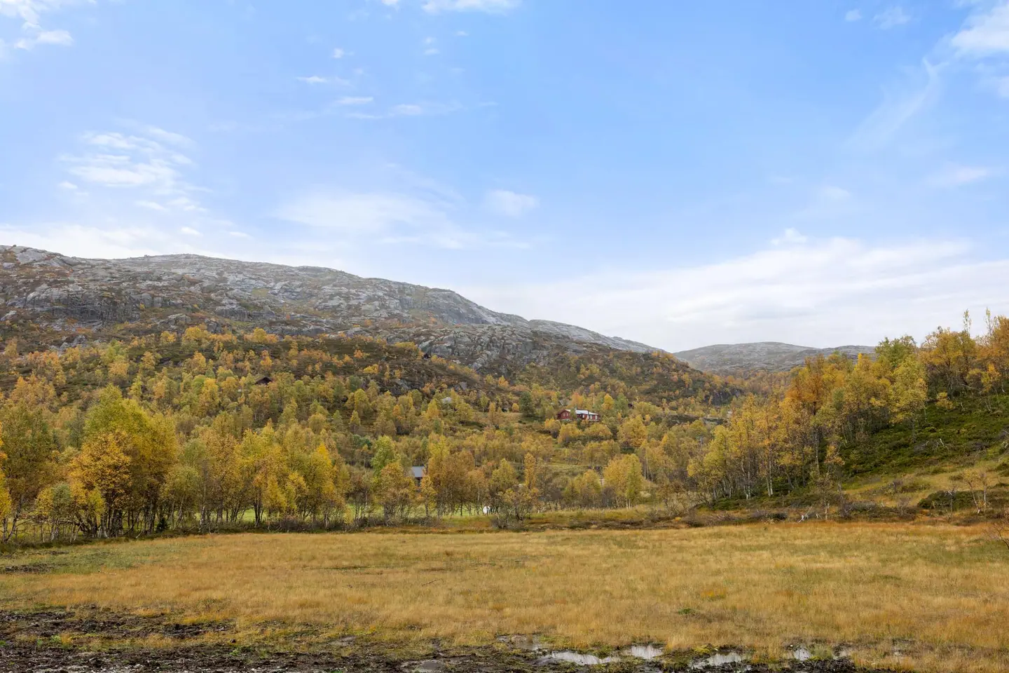 Brådet - Suleskard, Tjørhom — photo 5